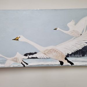 Swan Liftoff